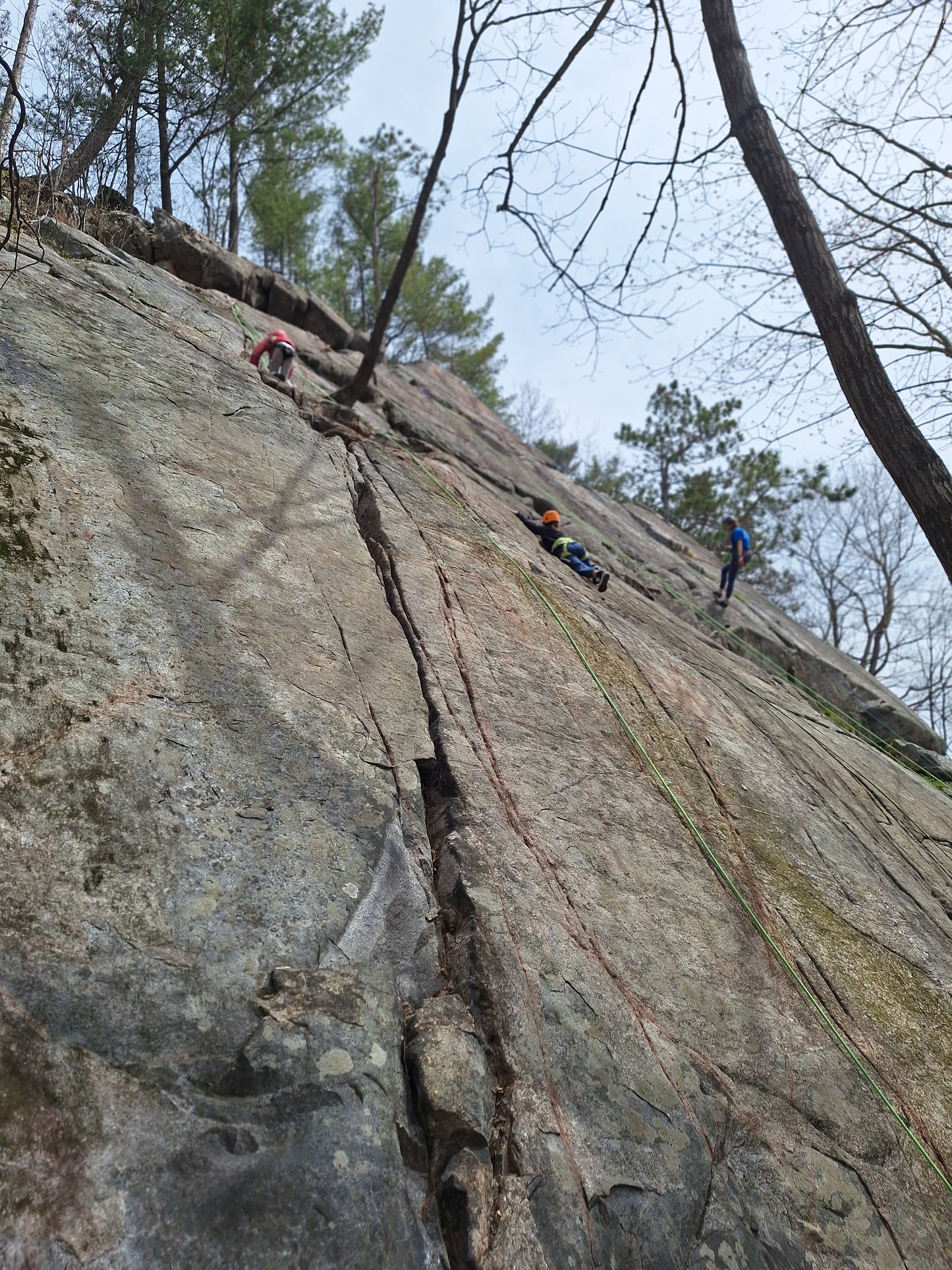 Half Day Rock Climbing Discovery